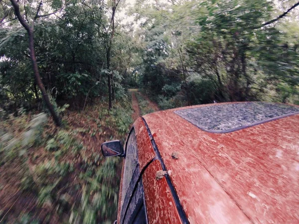 Lerigt off road bil i skogen — Stockfoto