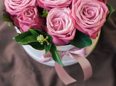 Romantik lüks pembe Gül beyaz hediye kutusunda 