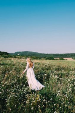 Açık havada, güzel sahne yürüyüş güzel gelin. Doğal renkler.