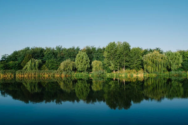 Lesní jezero odraz. Nádherná příroda a jezero s lesní odraz pod modrou oblohou. — Stock fotografie