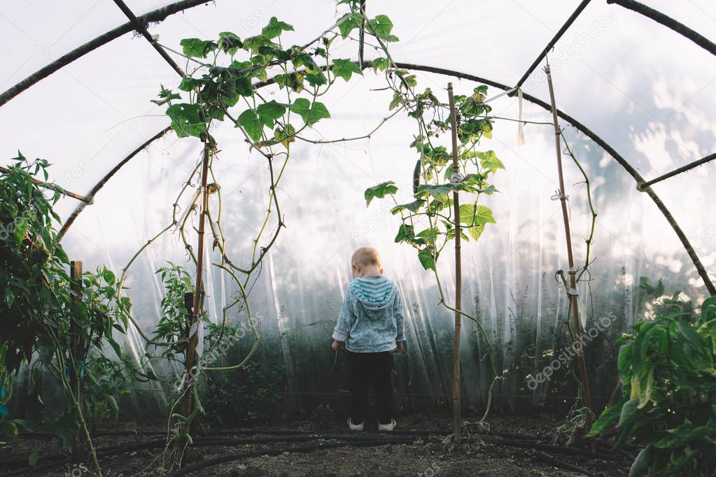 Young girl playing hide and seek