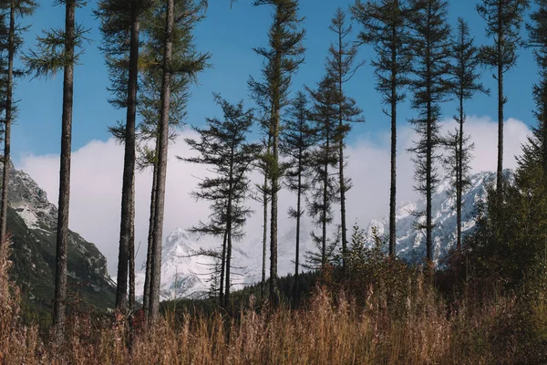 景观。美丽的旅游形象。登山探险. — 图库照片