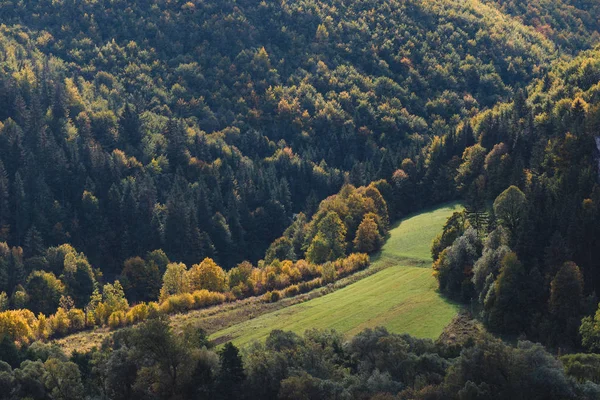 Schöne Aussicht auf sonniges Tal und herbstlich gefärbten Wald — Stockfoto