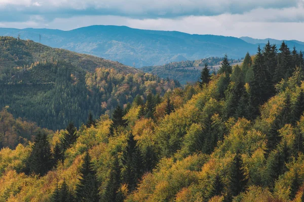 Táj. Őszi színek. Gyönyörű kilátással. — Stock Fotó