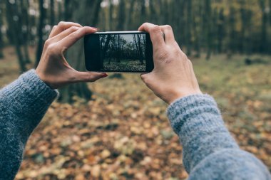 Orman kadın alarak resmi