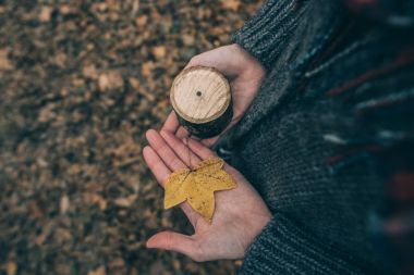 yaprak ve el ağacı