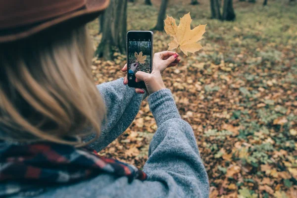 Woman taking picture of leaf — Stock Photo, Image