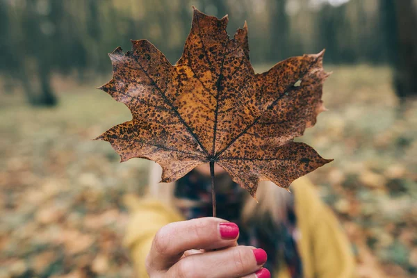 Hoja vieja en la mano — Foto de Stock