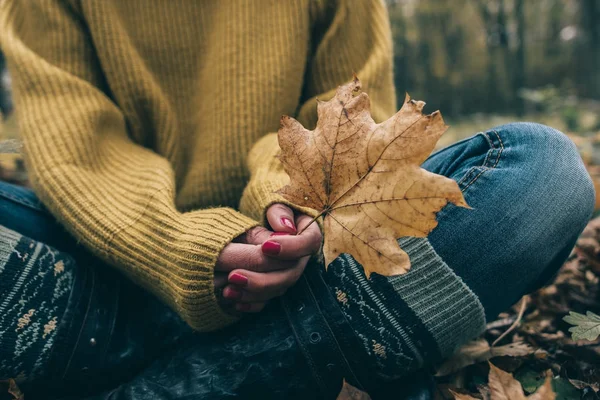 Close up of leaves in hand — Stock Photo, Image