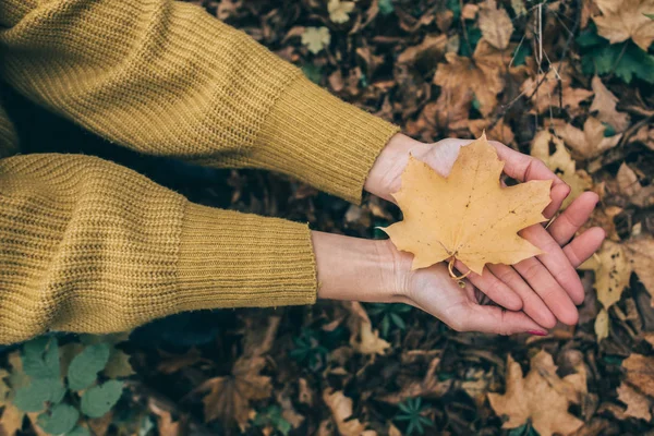 Foglia gialla e mano. Foglia in mano . — Foto Stock