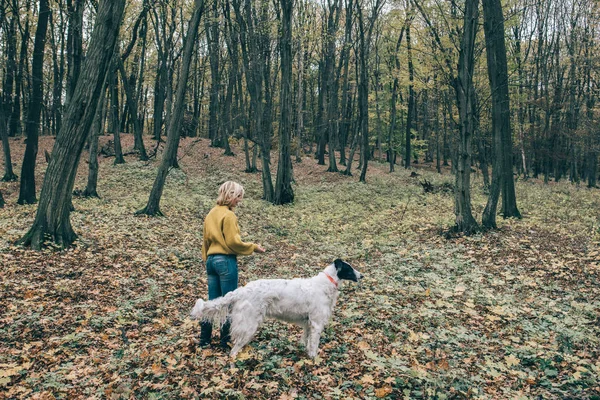 Дівчина гуляє зі своєю собакою в лісі — стокове фото