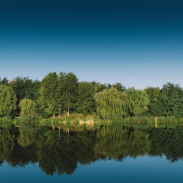 Lac et forêt. Paysage naturel. Kecskd, Hongrie — Photo