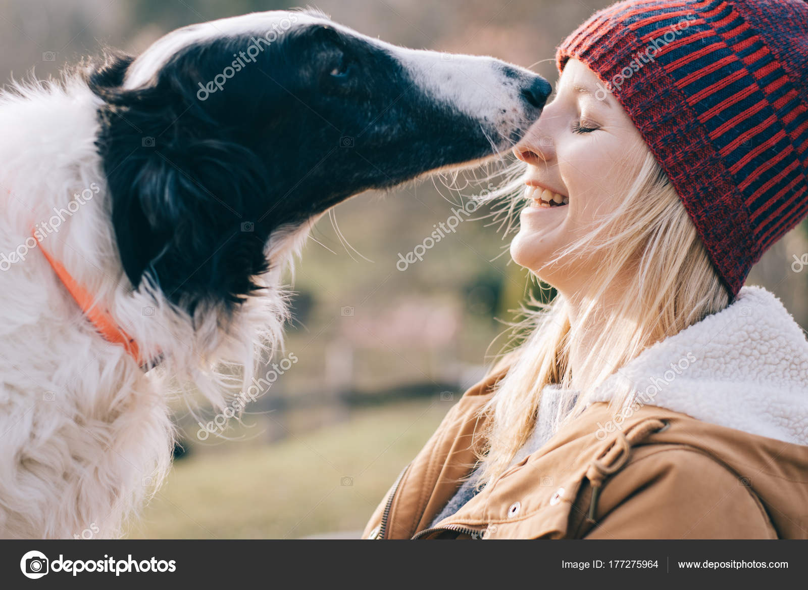 hund rollt sich zusammen
