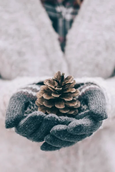 Girl Holding Pine Cone Her Hand Winter Decoration — Stock Photo, Image