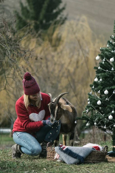 Mujer Cabra Divierten Jardín Árbol Navidad Decoración —  Fotos de Stock