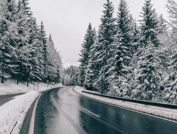 Vinterväg Landsväg Genom Skogen Resor Konceptet — Stockfoto
