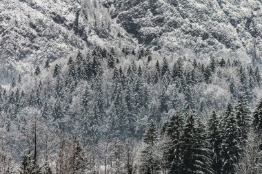 Kış manzarası. Yalnızlık kavramı. Şaşırtıcı dağlar. Kış manzarası.