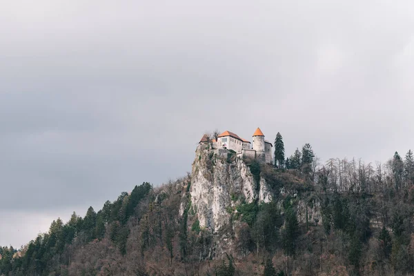 Castelo Bled Bela Eslovénia — Fotografia de Stock