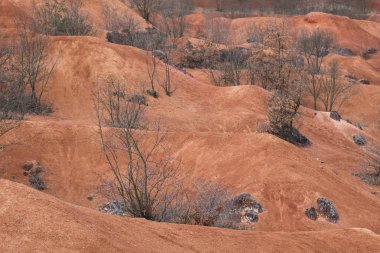 Terk edilmiş boksit madeni. GNT, Macaristan