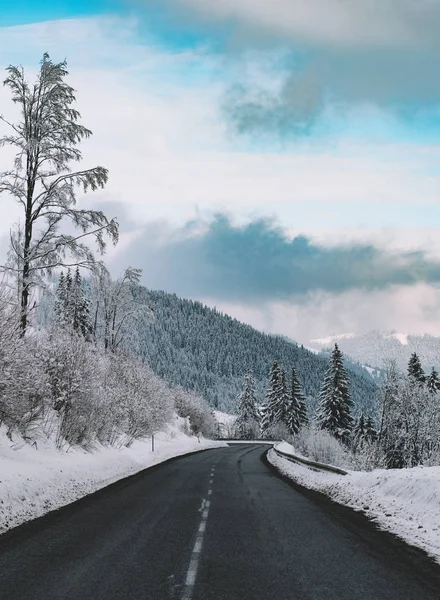 Зимняя Дорога Пустая Дорога Зимнем Пейзаже — стоковое фото