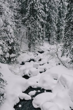 Kar altında donmuş nehir