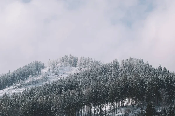 Vinterlandskap Snötäckta Berg — Stockfoto