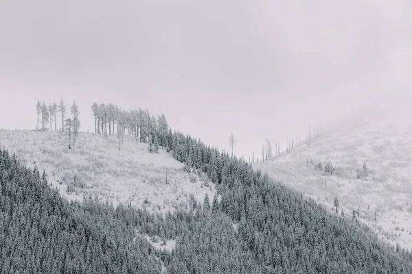 Paisagem Inverno Montanha Nevada — Fotografia de Stock