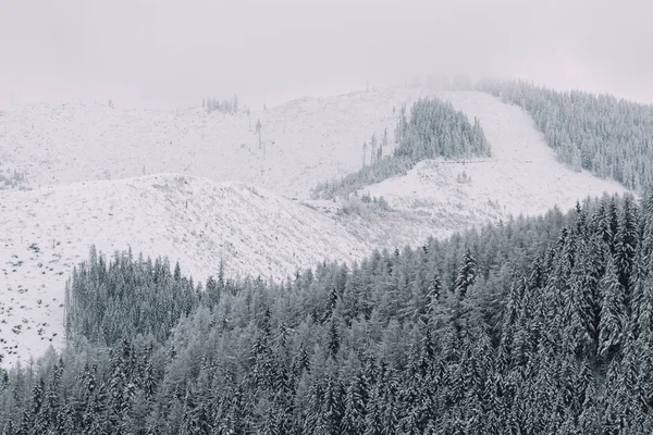 Paisagem Inverno Montanha Nevada — Fotografia de Stock