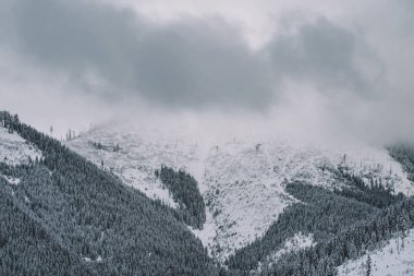 Kış manzara, karlı dağlar