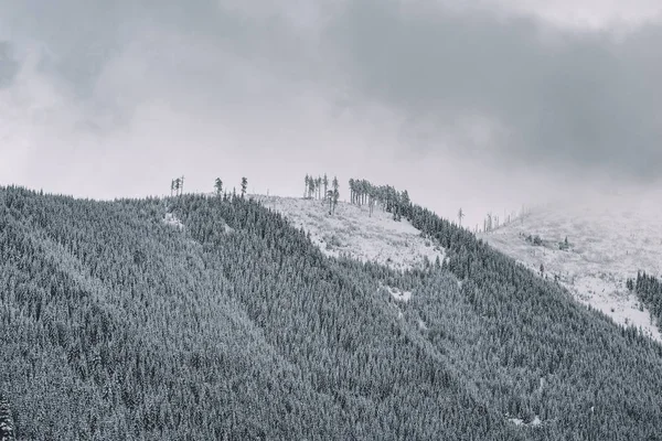 Winter Landscape Snowy Mountains — Stock Photo, Image