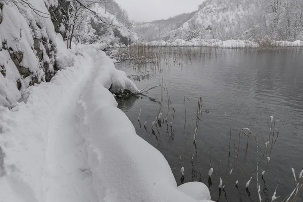 Aventura Invernal Hermoso Sendero Cubierto Nieve — Foto de Stock
