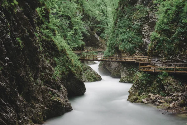 Kirándulás Vintgar Gorge Szlovénia Gyönyörű Canyon Hosszú Expozíciós Fotózás — Stock Fotó