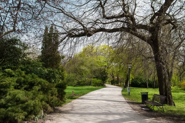 Πανέμορφο Δημόσιο Πάρκο Angolpark Tata Ουγγαρία — Φωτογραφία Αρχείου