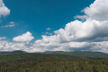 Doğal manzara, manzara. Gökyüzü mavi ve sahne yaz.