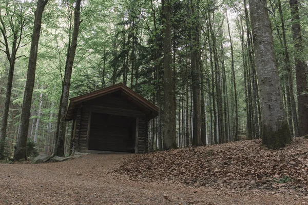 Wooden house in forest. Cabin in the woods.