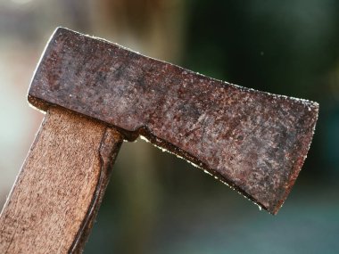 Bahçedeki paslı balta