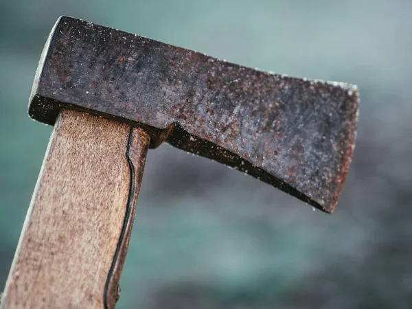 Old Rusty Axe Garden — Stock Photo, Image