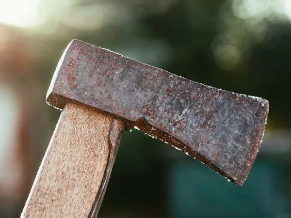 花园里的老旧生锈的斧头 — 图库照片