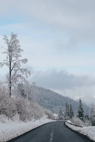 Дорога Горах Зимние Пейзажи — стоковое фото