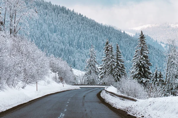 Road Winter Forest — Stock Photo, Image