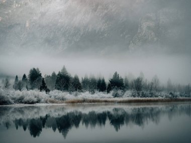 Slovenya 'nın Bohinj Gölü Yansıması