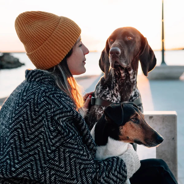 Kvinna Med Sina Hundar Vid Solnedgången — Stockfoto
