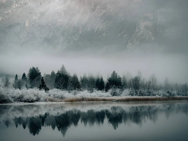 Отражение Озере Фелинь Словенской Области — стоковое фото