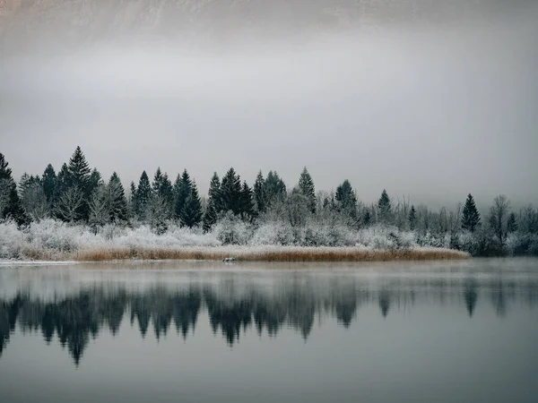 Reflection Lake Bohinj Slovenia — Stock Photo, Image