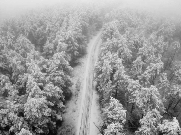 Aerial view of winter forest, drone. shot.