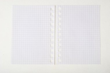 Sayfa defter--dan sökük uzakta