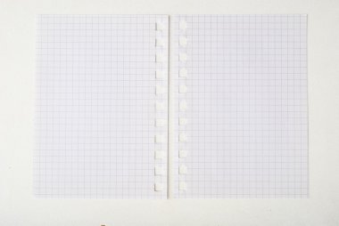 Sayfa defter--dan sökük uzakta