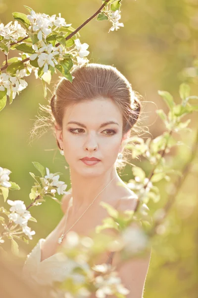 Beautidul bride portrait — Stock Photo, Image