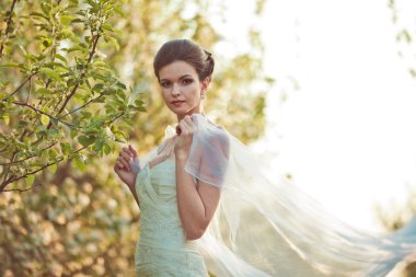 beautidul gelin portre