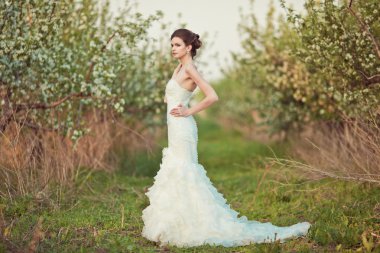 beautidul gelin portre